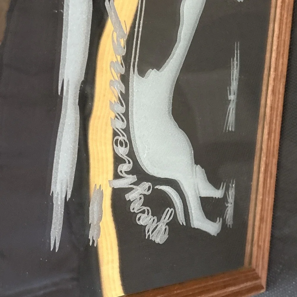 Mirror Image vintage greyhound